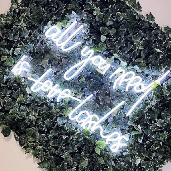 All You Need is Love Lashes neon sign on a green wall made by @customneon for @lashedbysarahox