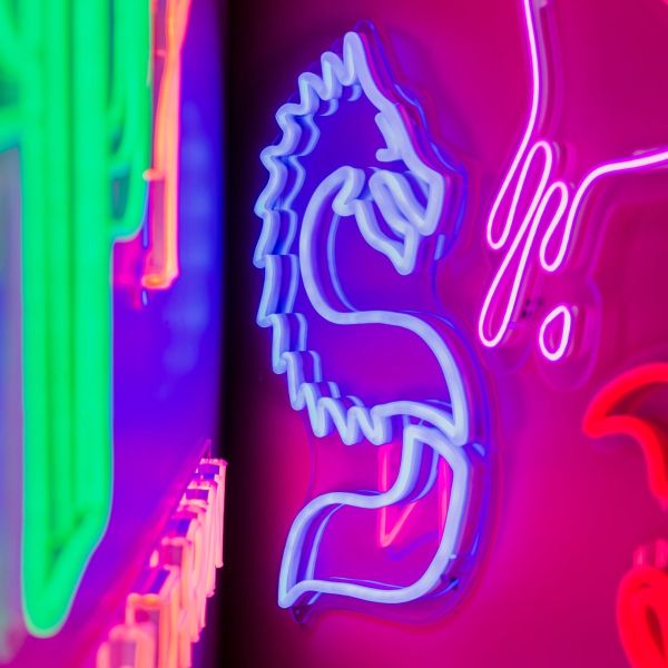 Custom Make Large LED Neon Decorations Lights for Wall - China Art Neon, Neon  Decorations