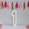 * 1 * Neon Number Sign for Birthday Parties, Anniversaries & Events - photo from CustomNeon.com