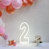* 2 * Neon Number Sign for Birthday Parties, Anniversaries & Events - photo from CustomNeon.com