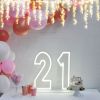 * 21 * LED Neon Sign - photo CustomNeon.com