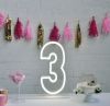* 3 * Neon Number Sign for Birthday Parties, Anniversaries & Events
 - photo from CustomNeon.com