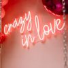 Crazy in Love LED neon light shown mounted on a wall with balloons - photo from Custom Neon by Neon Collective