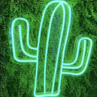 Green Custom Neon® cactus lamp