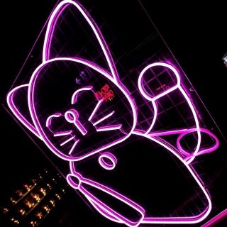 Purple lucky cat neon art @linglingsbne by Custom Neon® 