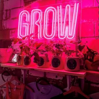 Pink Custom Neon® brand sign @growgiesenplantshop
