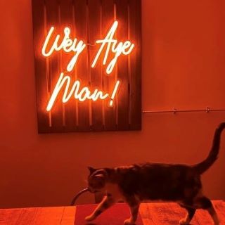 Orange Neon Signs | Aesthetic Orange LED Lights by Custom Neon®