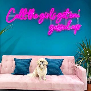 Hot pink Custom Neon® word sign on blue wall