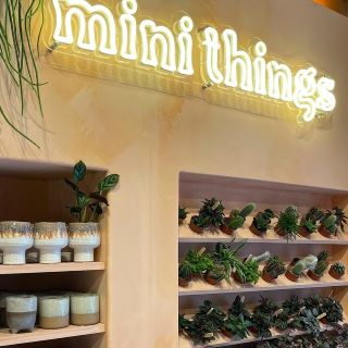 Warm white Custom Neon® in-store signage @nice.things.plant.store