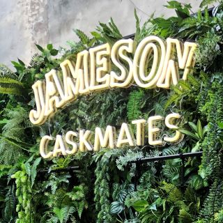 Selfie wall company name sign on green wall @jameson_anz by Custom Neon®