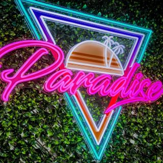 Multicolor logo sign by Custom Neon® for @_paradise_gym