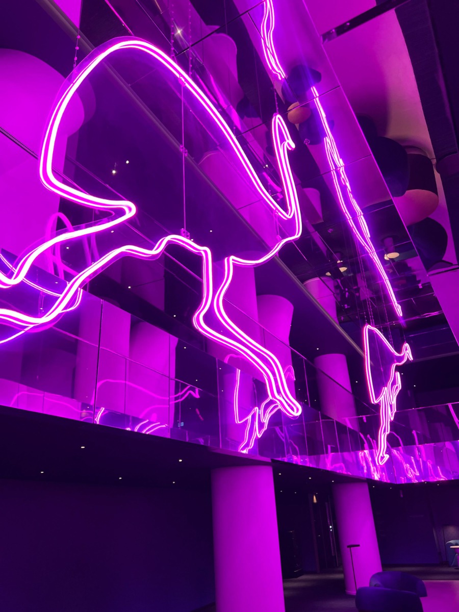 w-hotel-suspended-led-neon-art-installation-custom-neon-showcase