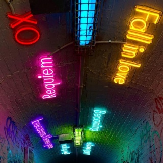 Custom Neon® word signs designed by @k.h.bebe for @sydneyworldpride