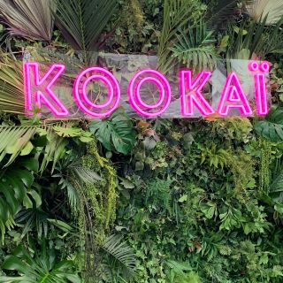 Pink Kookai logo on lush green wall