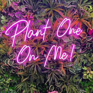 Custom Neon® pink quote sign on plant wall @mementobelfast