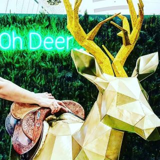 Custom Neon® green Oh Deer light sign as part of the holiday display at @rhodeswaterside shopping mall