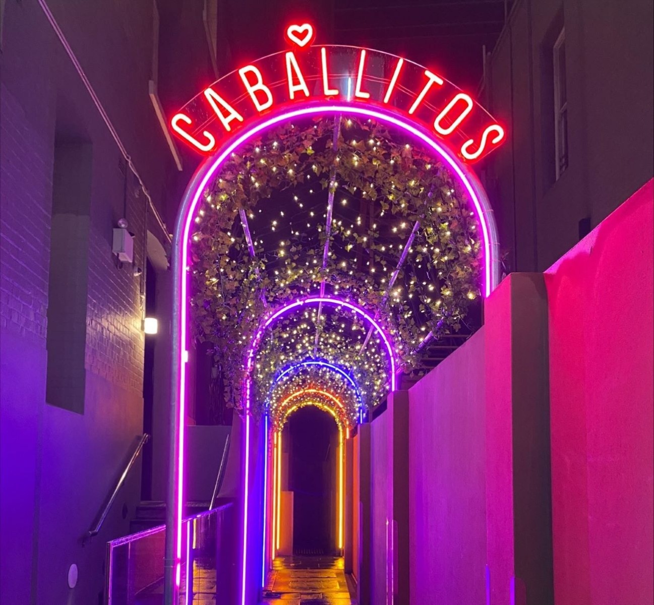 Custom Neon® waterproof nightclub sign @caballitosperth