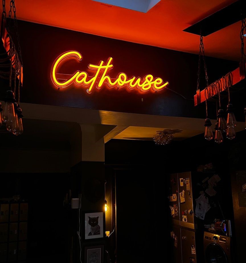 Cathouse orange Custom Neon® home sign @p00kyn3ss-mims_electrical_testing