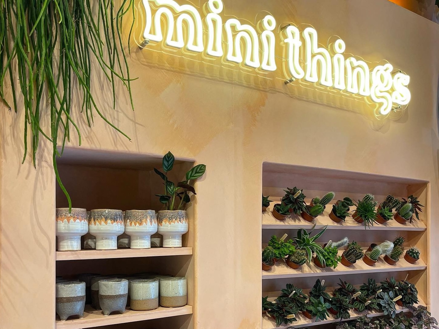 Warm white Custom Neon® in-store signage @nice.things.plant.store