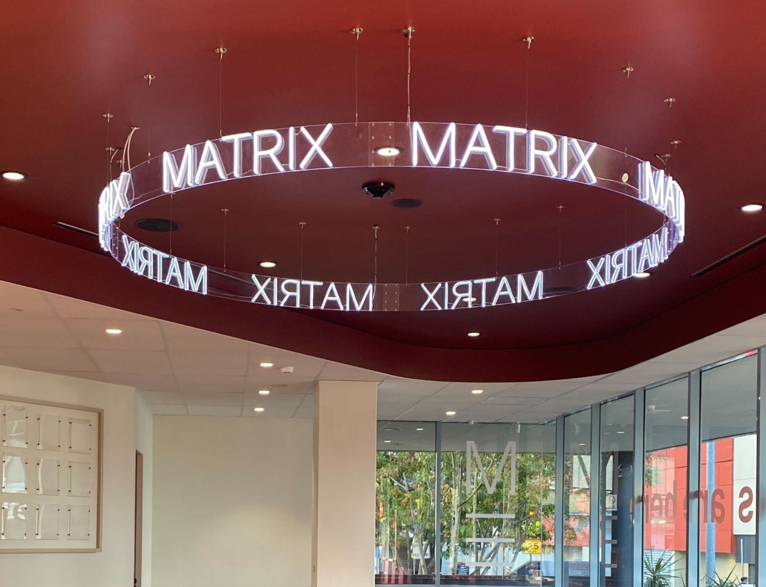 Custom Neon® curved business name sign suspended from the ceiling @matrixeducation