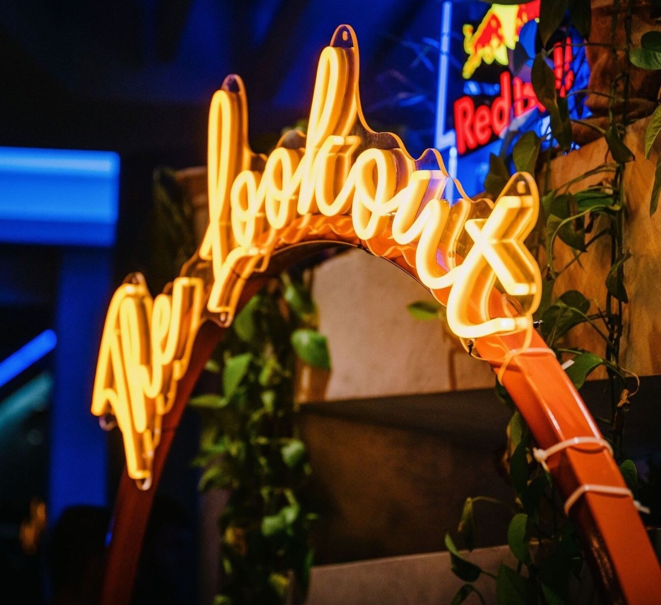 Custom Neon® sign ziptied to an arch with floral decor @thelookout