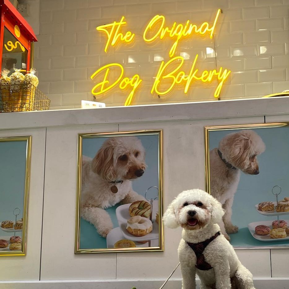 Custom Neon® bright yellow bakery name sign @theoriginaldogbakery