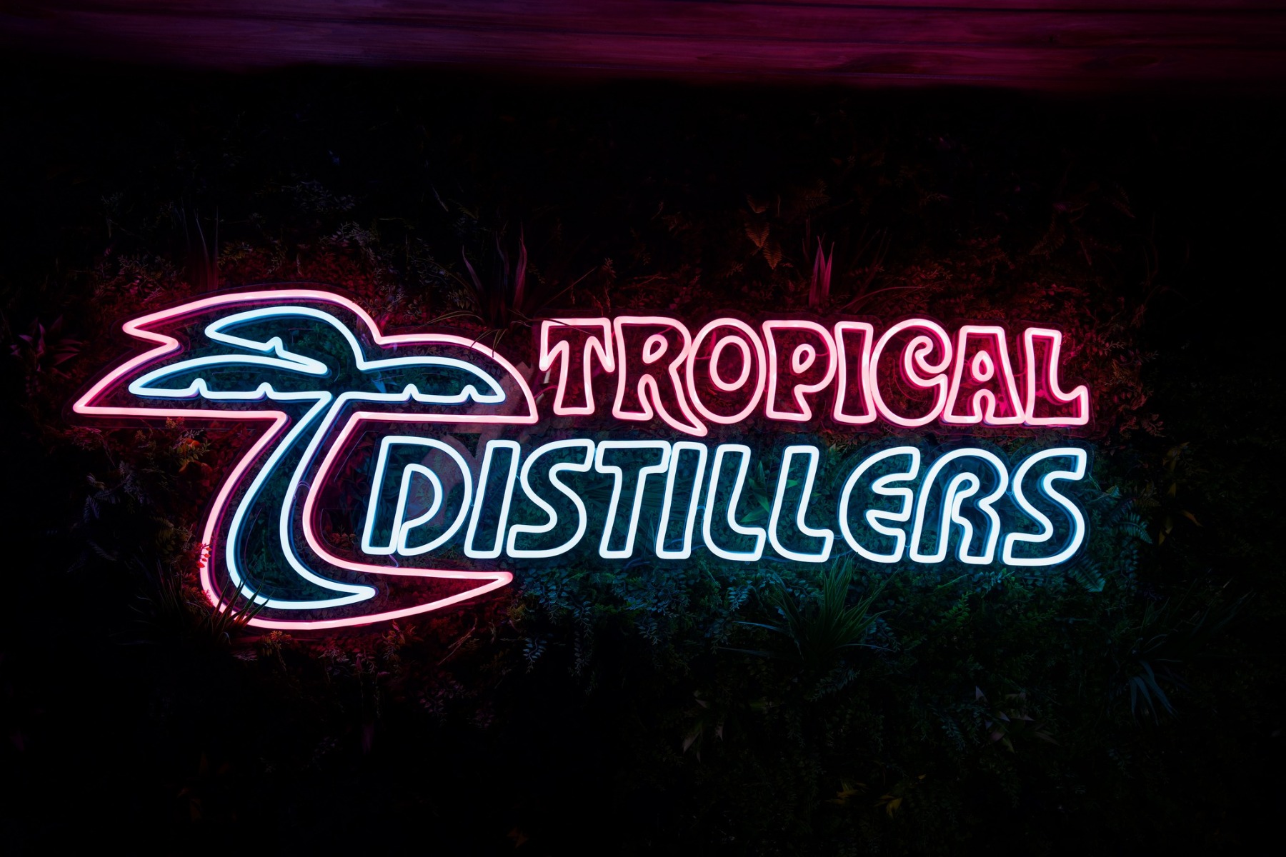 Multicolored logo sign by Custom Neon® on grass wall @tropicaldistillery