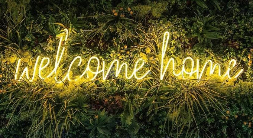 Custom Neon® yellow welcome home sign on plant wall